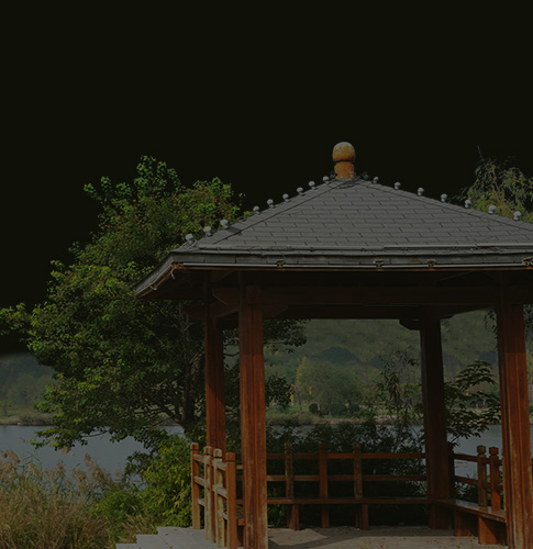 旅游规划设计